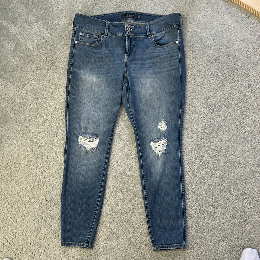 Torrid Distressed Jeggings